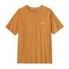 Dried Mango