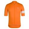Orange / White