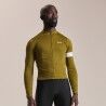 Fern / White FW26