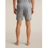 icebreaker Men Merino 150 Lodge Shorts - Shorts - Men's | Hardloop