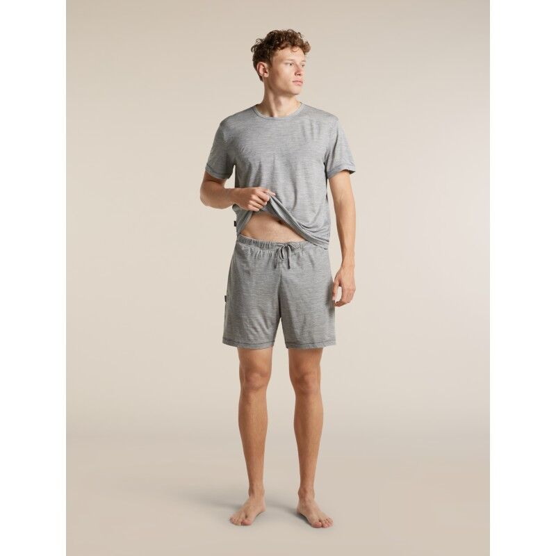 icebreaker Men Merino 150 Lodge SS Tee - T-shirt en laine mérinos homme | Hardloop