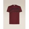 icebreaker Men Merino 150 Tech Lite SS Tee Getaway - T-shirt en laine mérinos homme | Hardloop