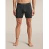 Icebreaker Mens Anatomica Long Boxers - Unterwäsche - Herren