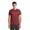 icebreaker Merinos 150 Tech Lite SS Tee Range Stripes - T-shirt en laine mérinos homme | Hardloop