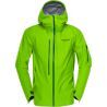 Bamboo Green