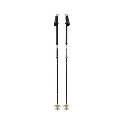 Expedition Carbon Pro Ski Pls - Ski poles