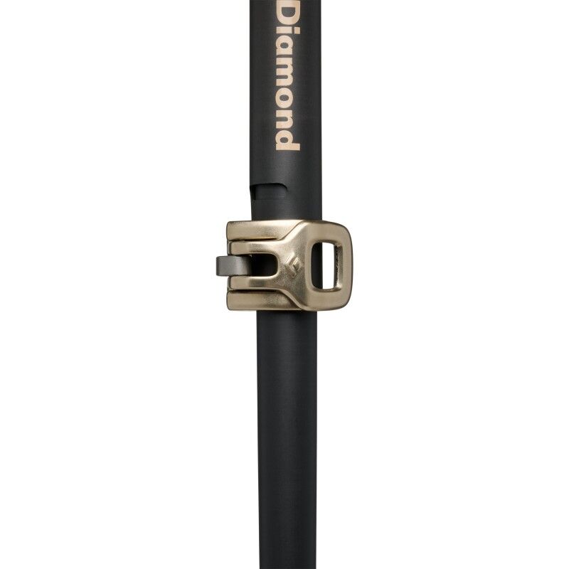 Black Diamond Expedition Carbon Pro Ski Pls - Bastones de esquí | Hardloop