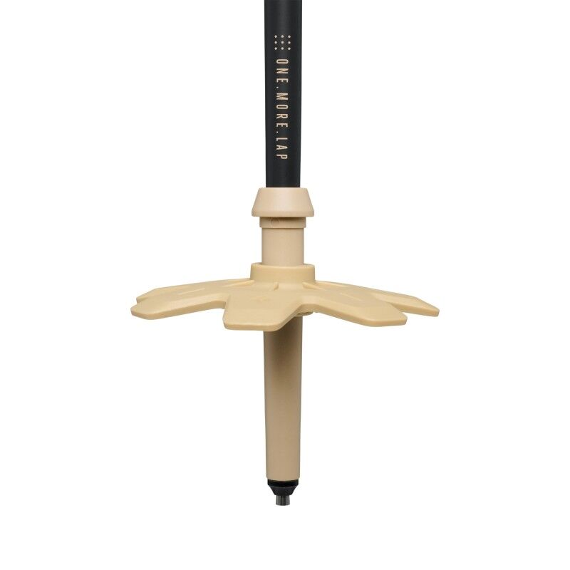Black Diamond Expedition Carbon Pro Ski Pls - Bastões ski | Hardloop