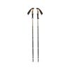 Trail Vista FLZ Trekking Poles - Trekkingstave