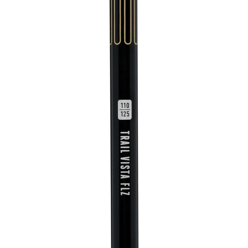 Black Diamond Trail Vista FLZ Trekking Poles - Bâtons randonnée | Hardloop