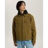 Olive Brown