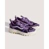 Royal Plum / Prism Purple