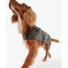 Barbour Slykoil Wax Dog Coat - Giacca per cani | Hardloop
