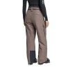 adidas Terrex Xploric 2 Layer CLIMAPROOF Insulated Pants - Skibroek - Dames | Hardloop