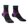 Damson