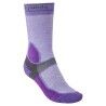 Purple / Dk Grey