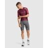 Assos Equipe R Jersey S11 Assos X OGAT - Maglia ciclismo maniche corte - Uomo | Hardloop