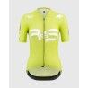Collective Yellow