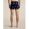 icebreaker Men Merino 150 Anatomica Boxers Bear Tour AOP - Merino Wool Boxer | Hardloop
