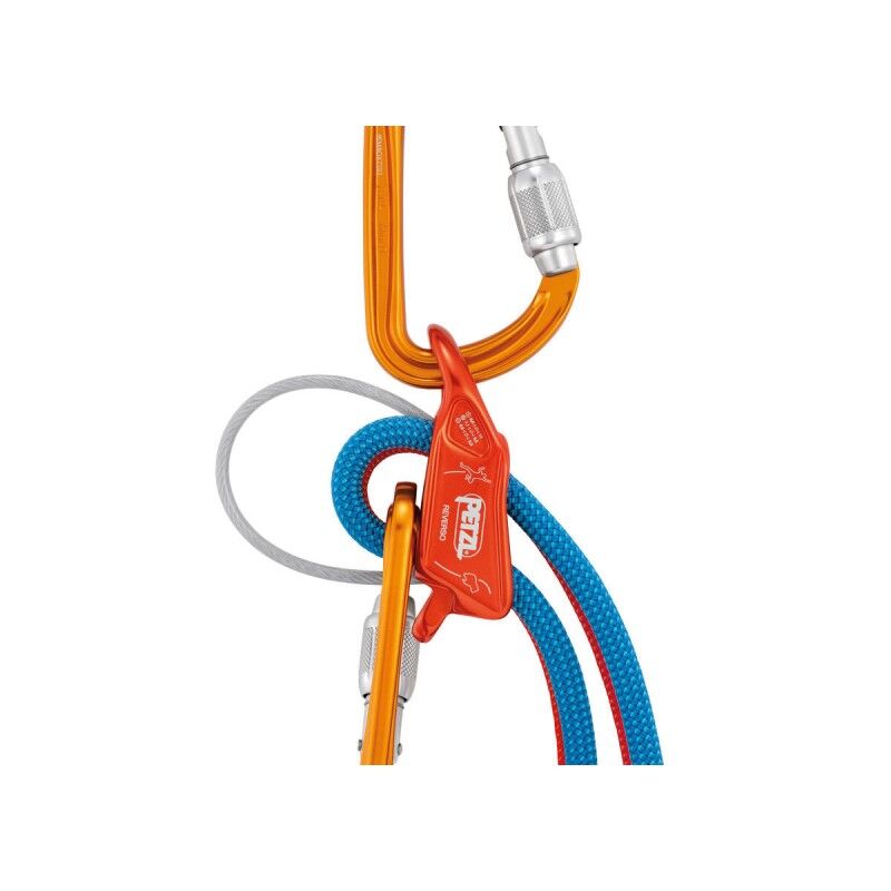 Petzl Reverso 4 -Assureur-descendeur | Hardloop