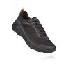 Anthracite / Dark Gull Grey