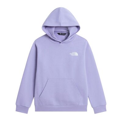 Teen Evolution Box Nse Pullover Hoodie - Sudadera - Niños