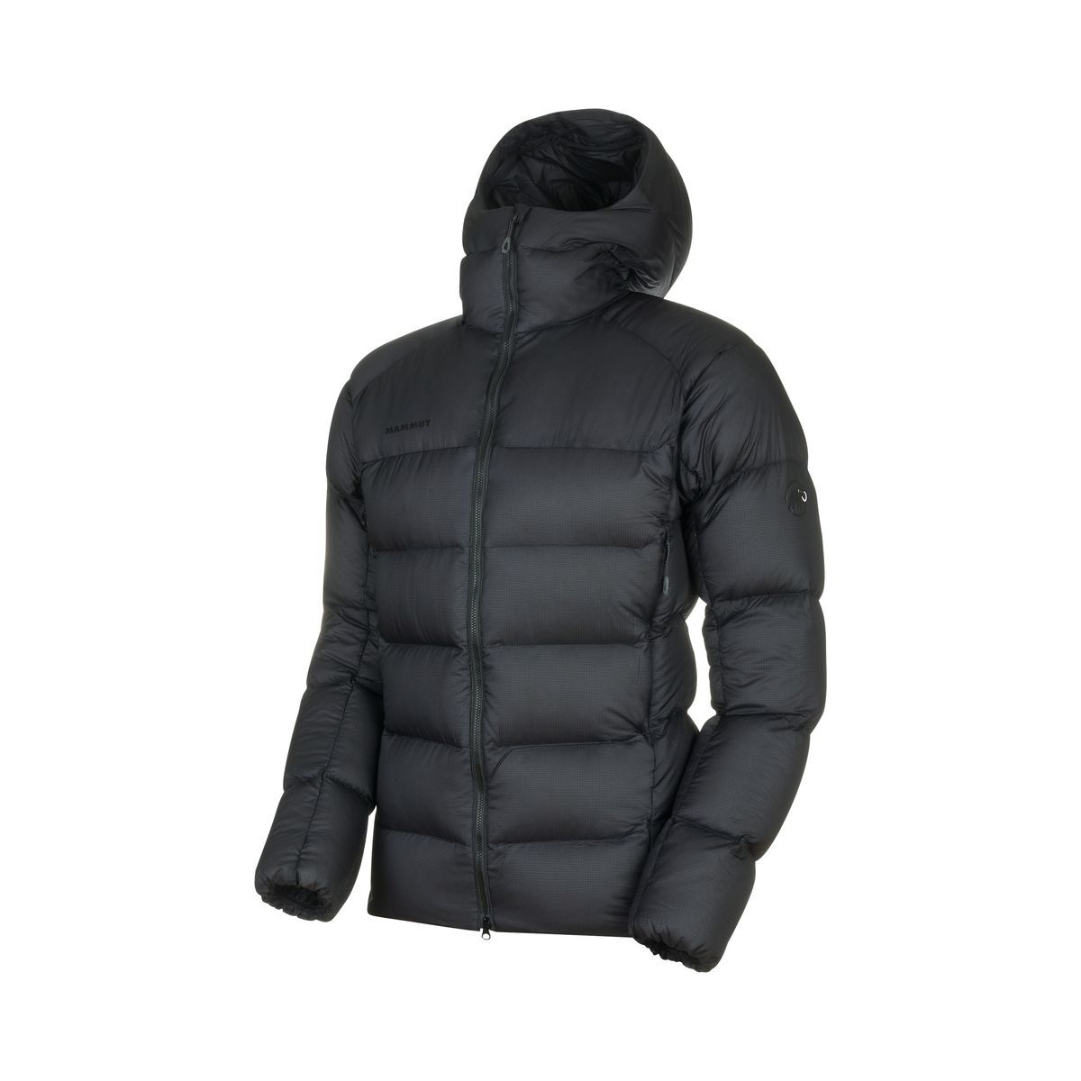 Mammut Meron IN Hooded Jacket - Chaqueta impermeable - Hombre