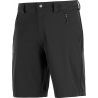 Salomon Wayfarer LT Short - Hiking shorts - Men's