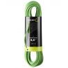 Neon Green