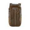 Coriander Brown