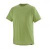 Supply Green