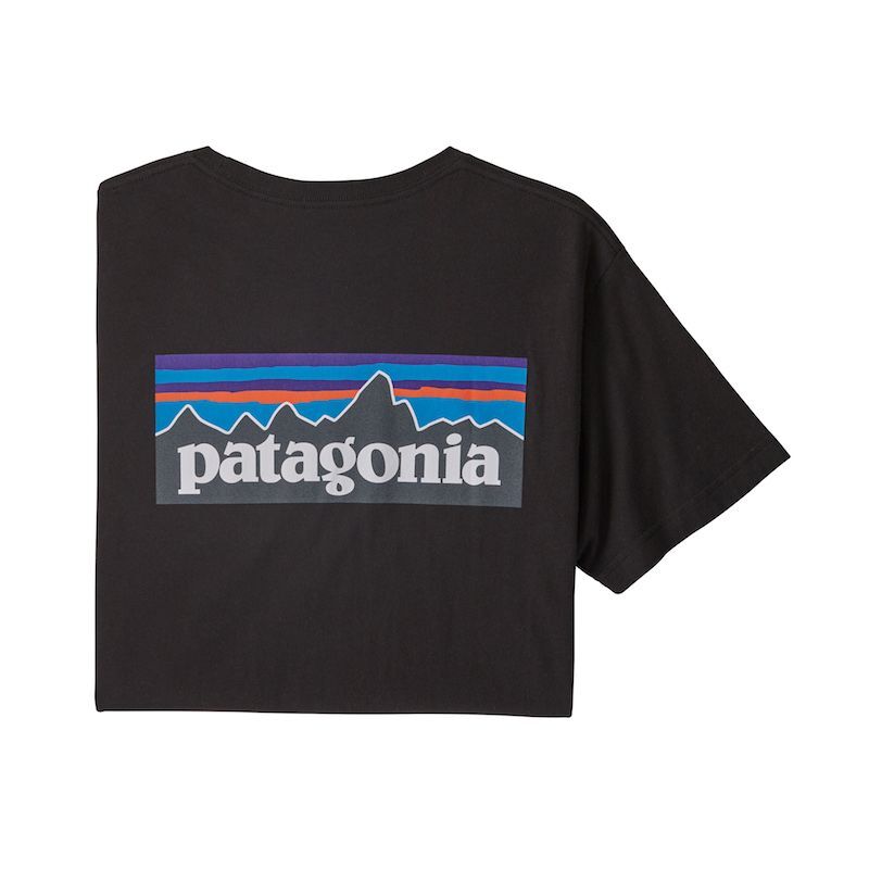 Patagonia P-6 Logo Organic - T-Shirt homme | Hardloop