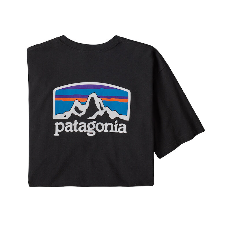 Patagonia Fitz Roy Horizons Responsibili-Tee - T-shirt homme | Hardloop
