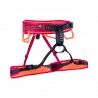 Sundown / Safety Orange