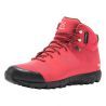 Hibiscus Red