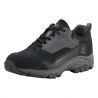 True Black / Magnetite