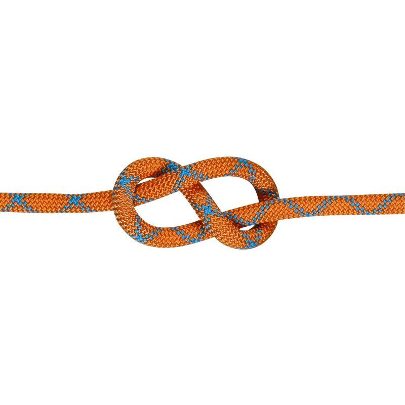 Millet Silver TRX 9,8mm 80M - Corde | Hardloop