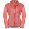 Hot Coral