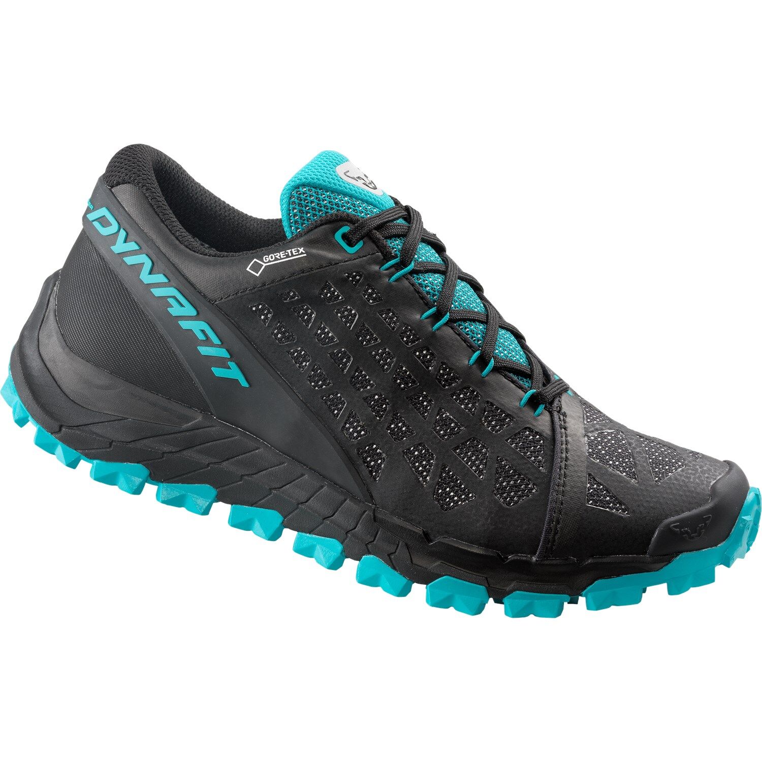 Dynafit Trailbreaker Evo GTX - Chaussures trail femme | Hardloop