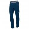 Insignia Blue