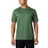 Thyme Green