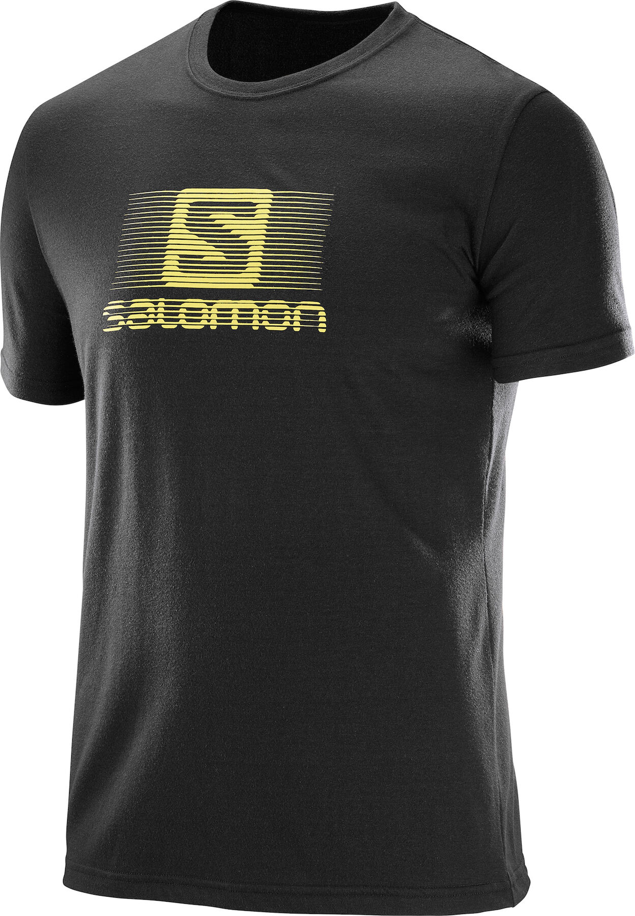 Salomon Blend Logo - T-shirt Herr