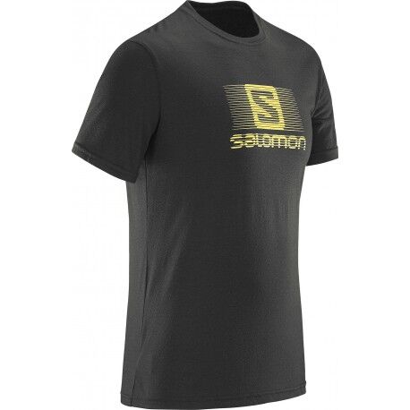 Salomon Blend Logo - T-shirt Herr