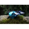 YY Vertical Solar Up - Belay briller
