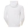 Helly Hansen HH Logo Hoodie - Pánská Mikina | Hardloop