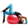 Sveltus Gymball