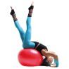 Sveltus Gymball