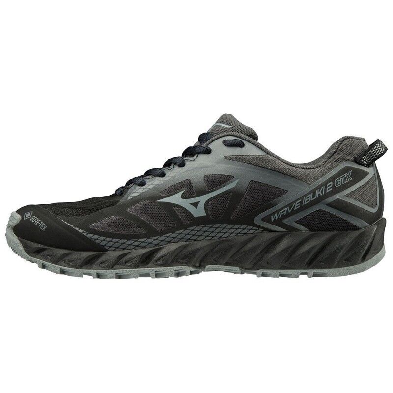 Mizuno Wave Ibuki 2 GTX - Trailrunningschoenen - Dames