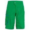 Apple Green