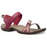 Antiguous Red Plum